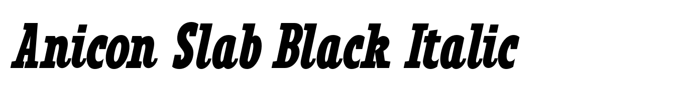 Anicon Slab Black Italic